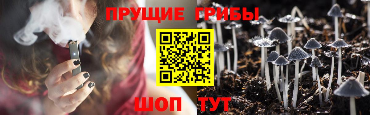 Галлюциногенные грибы GOLDEN TEACHER  Вход с VPN  Приморско-Ахтарск 