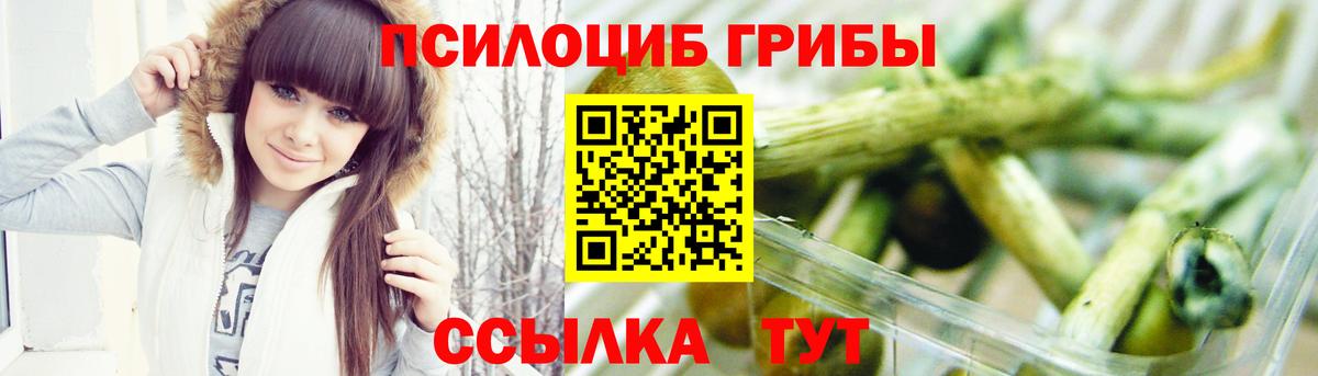 Галлюциногенные грибы Psilocybe Приморско-Ахтарск